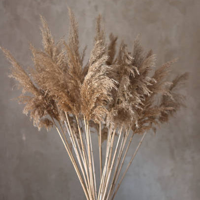Pampasya™ Dekoratif Pampas Aranjmanı